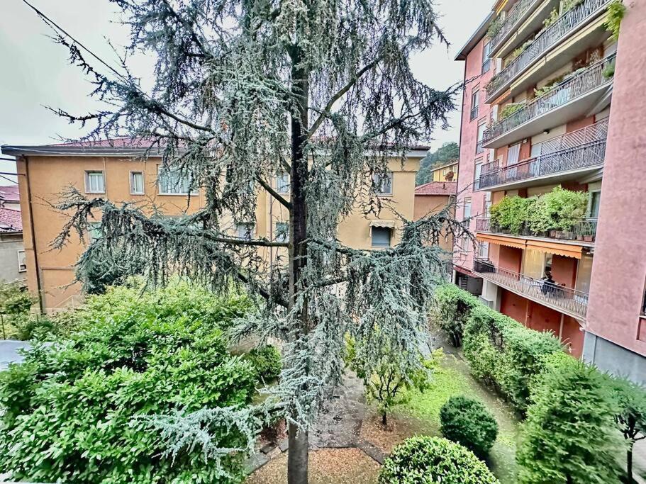 Luxury House Near The Funicular Daire Bergamo Dış mekan fotoğraf